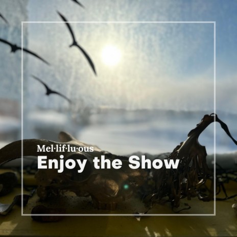 Enjoy the Show | Boomplay Music