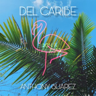 del Caribe