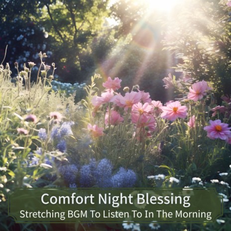 Comforted by the Morning | Boomplay Music