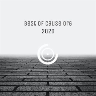 BEST OF CAUSE ORG 2020