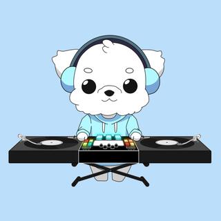 DJ Puppy: House Music