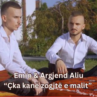 Çka kanë zogjtë e malit