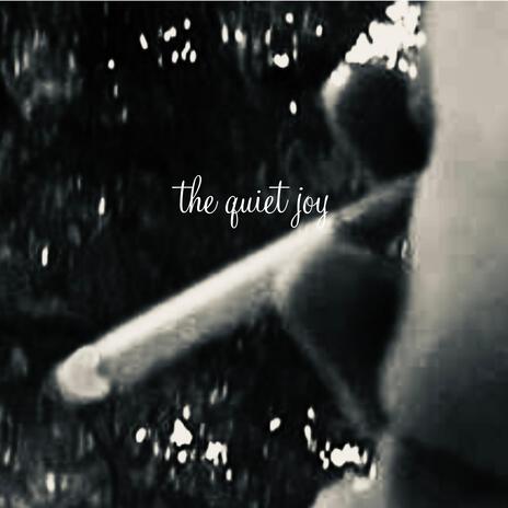 the quiet joy | Boomplay Music