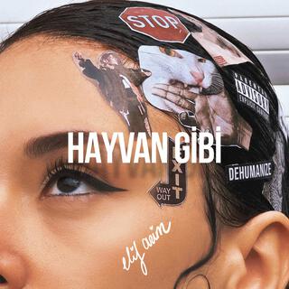 HAYVAN GİBİ lyrics | Boomplay Music