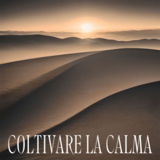 Coltivare la Calma: Melodie Pacifiche per Distendere i Sensi e Calmare la Tua Anima