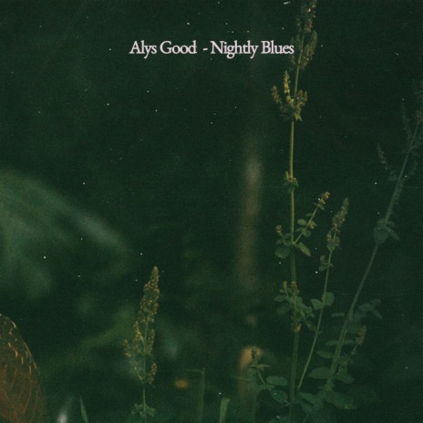 Nightly Blues | Boomplay Music