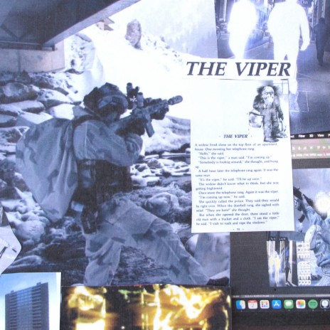 The Viper | Boomplay Music