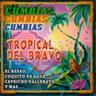 Tropical del Bravo