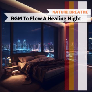 BGM To Flow A Healing Night