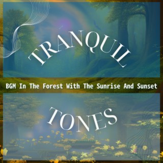 BGM In The Forest With The Sunrise And Sunset