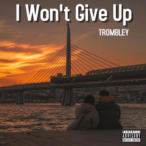 I Won't Give Up | Boomplay Music