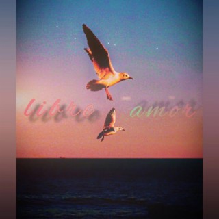 Libre amor