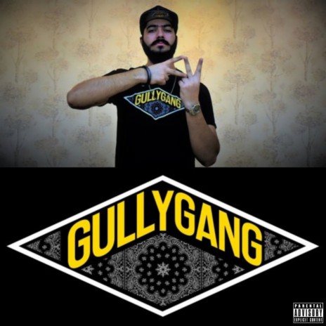 GULLY GANG (Remix) | Boomplay Music