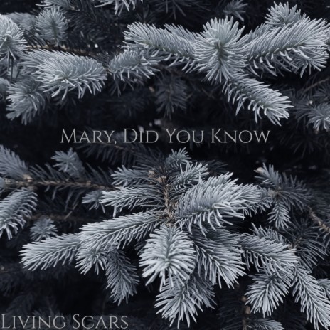 Mary, Did You Know | Boomplay Music