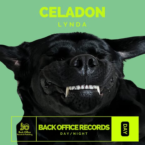 Celadon | Boomplay Music