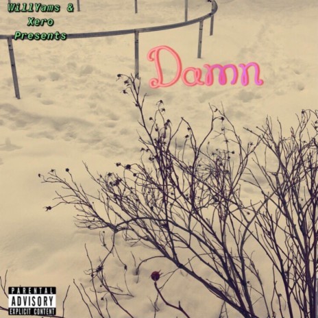 Damn ft. Xero | Boomplay Music