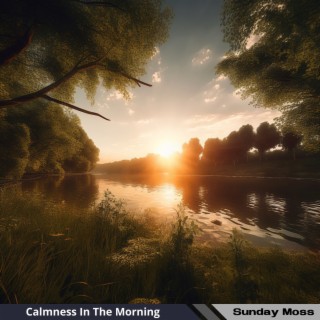 Calmness In The Morning