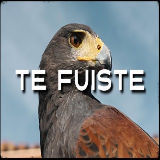 TE FUISTE