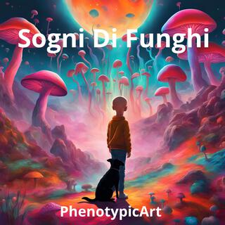 Sogni di Funghi