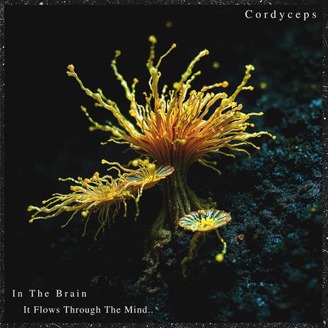 Cordyceps | Boomplay Music