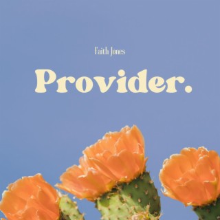 Provider