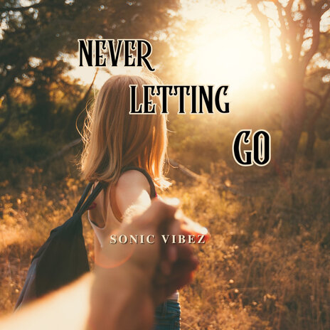 Never Letting Go | Boomplay Music