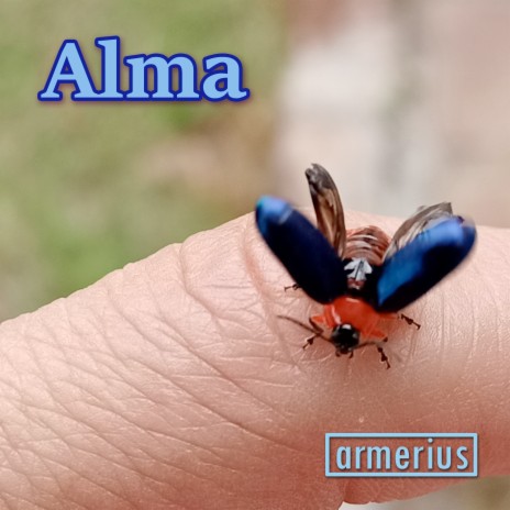 Alma