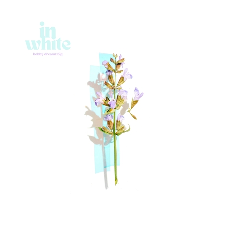 in white | Boomplay Music