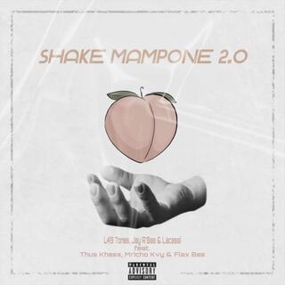 Shake Mampone (feat. Thus Khass, Mricho Kvy &Flex Bee) (2.0)