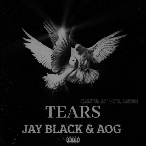 TEARS (feat. JAY SMOKE & MiGRILLO) | Boomplay Music