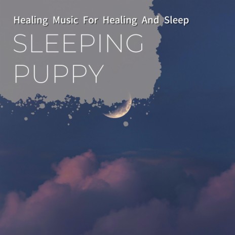 A Sleep in the Soul | Boomplay Music
