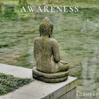 Awareness