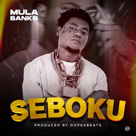 Seboku | Boomplay Music