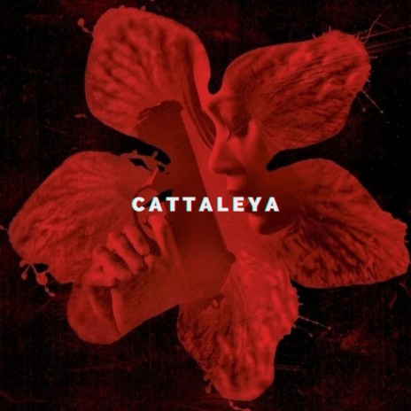 Cattaleya