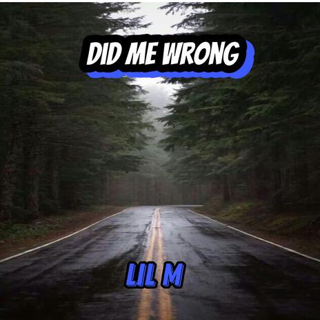 Did Me Wrong | Boomplay Music