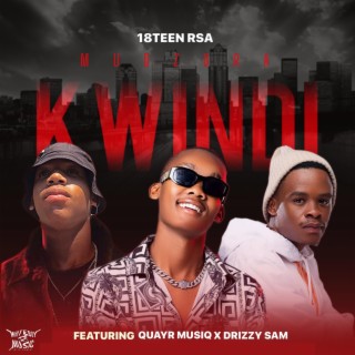 Mudzura Kwindi(Revisit) (feat. QuayR Musiq & Drizzy Sam)