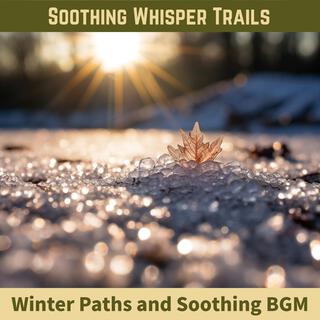 Winter Paths and Soothing Bgm