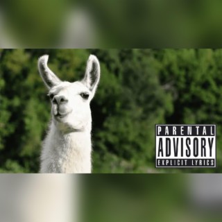 Drama Llama