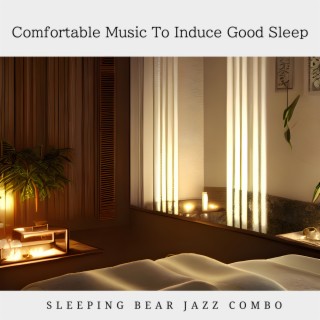 Comfortable Music To Induce Good Sleep