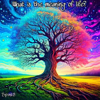 What is the meaning of life?