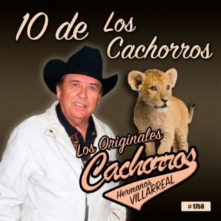 10 De Los Cachorros