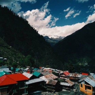 Himalayan Summer