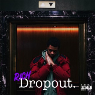 Rich Dropout