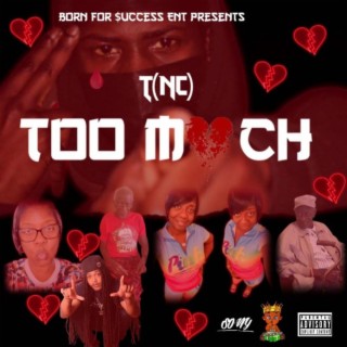 Too Much (The Album)