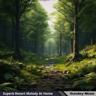 Superb Resort Melody At Home