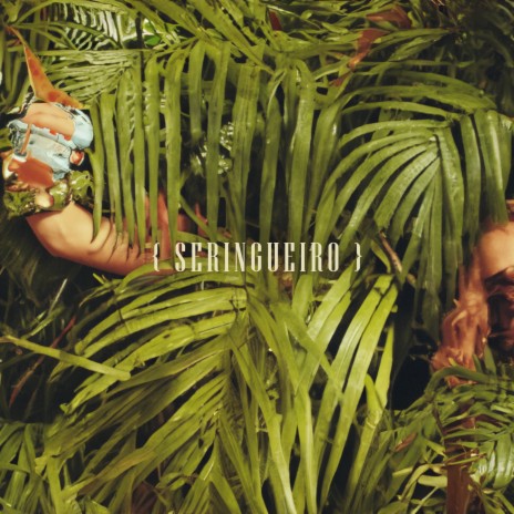 Seringueiro | Boomplay Music