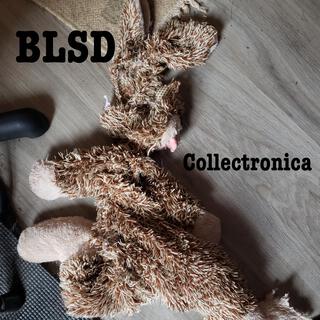 BLSD 1: Collectronica