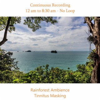 Continuous Rainforest Ambience (12 am to 8:30 am, No Loop)