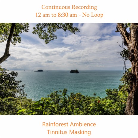Continuous Rainforest Ambience Part 63 | Boomplay Music