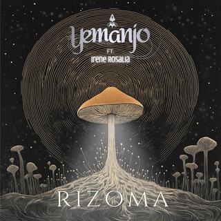 Rizoma